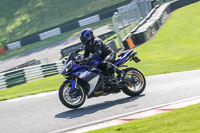 Lower Group Blue Bikes